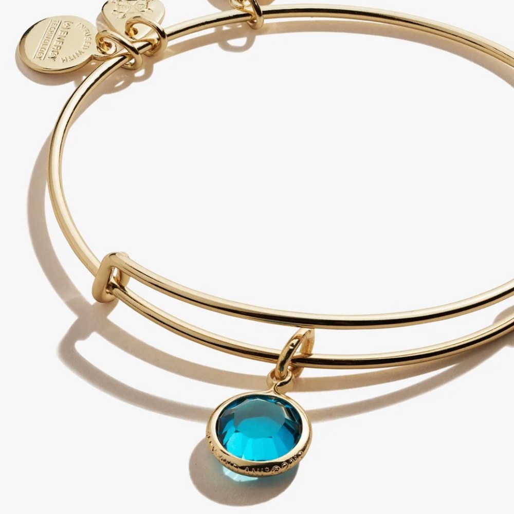 Alex and Ani December birthstone charm bracelet